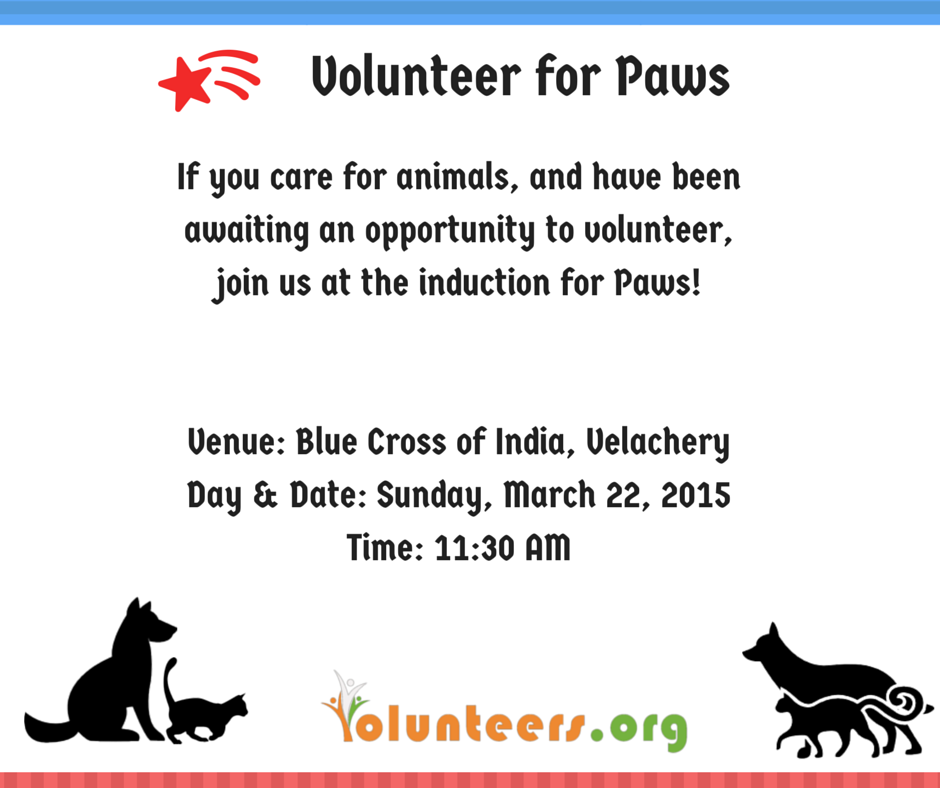 Volunteer for Paws (1)